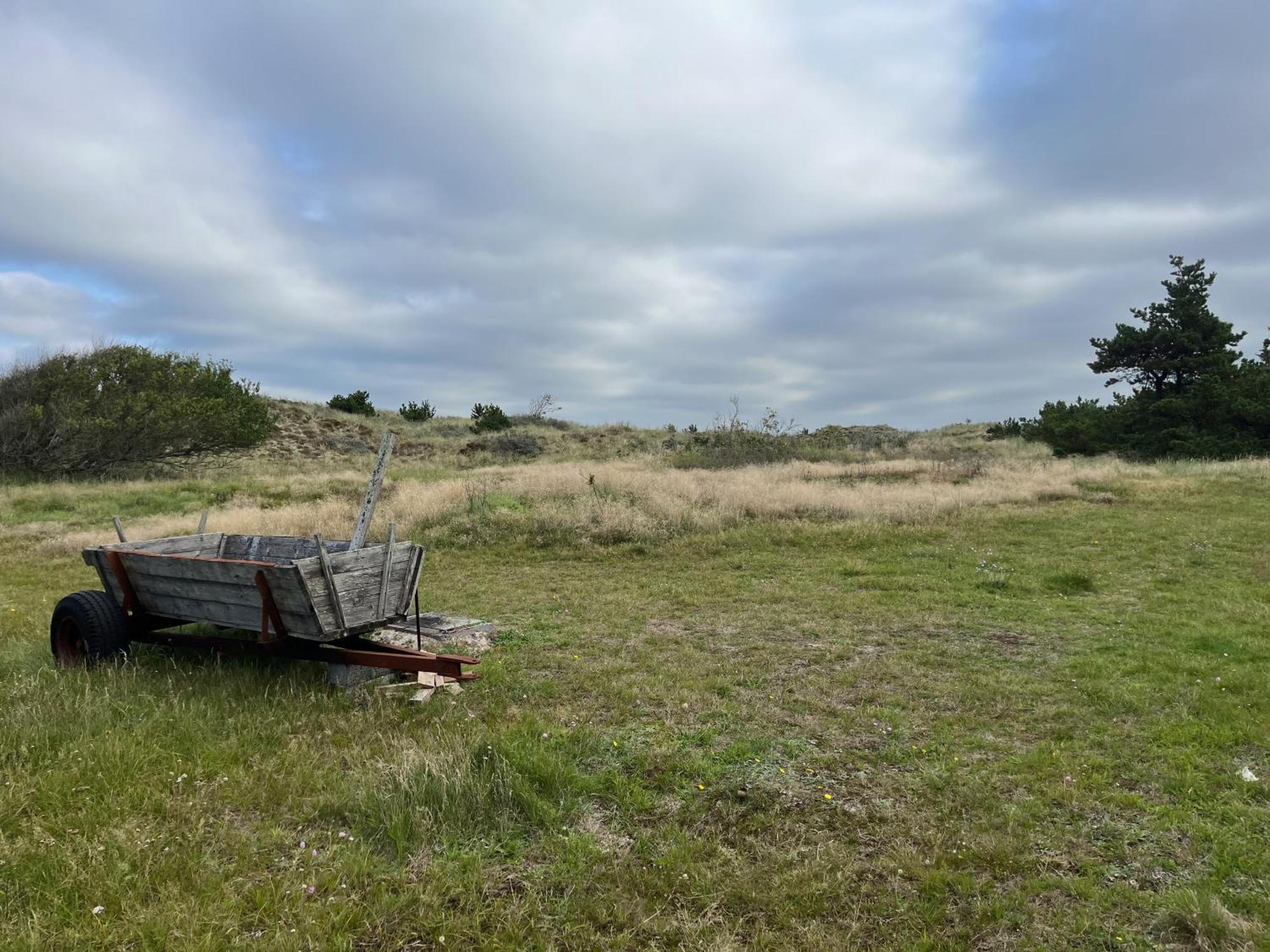 The Beach Farm - Charm, Beach And Stunning Nature Bedsted Thy Exterior photo