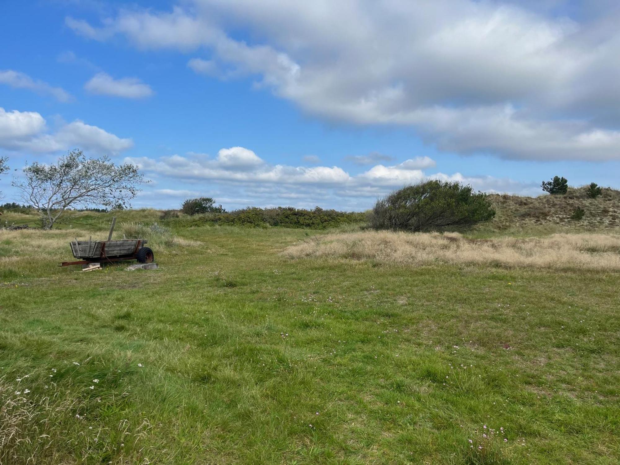 The Beach Farm - Charm, Beach And Stunning Nature Bedsted Thy Exterior photo